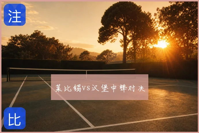 莱比锡vs汉堡中锋对决